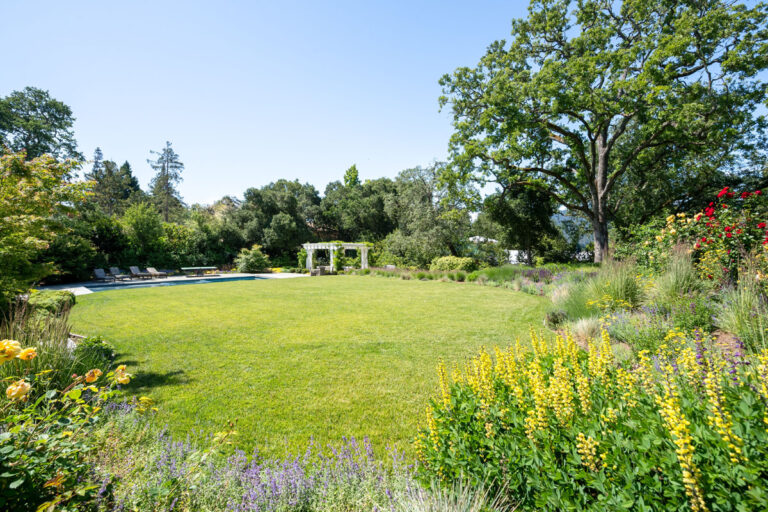 Back yard